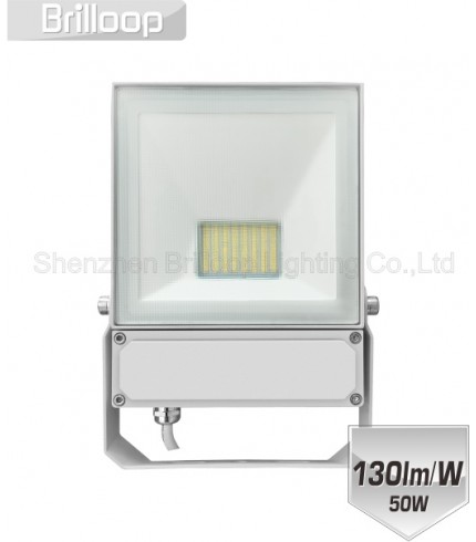 F17.C - Quality Floodlight